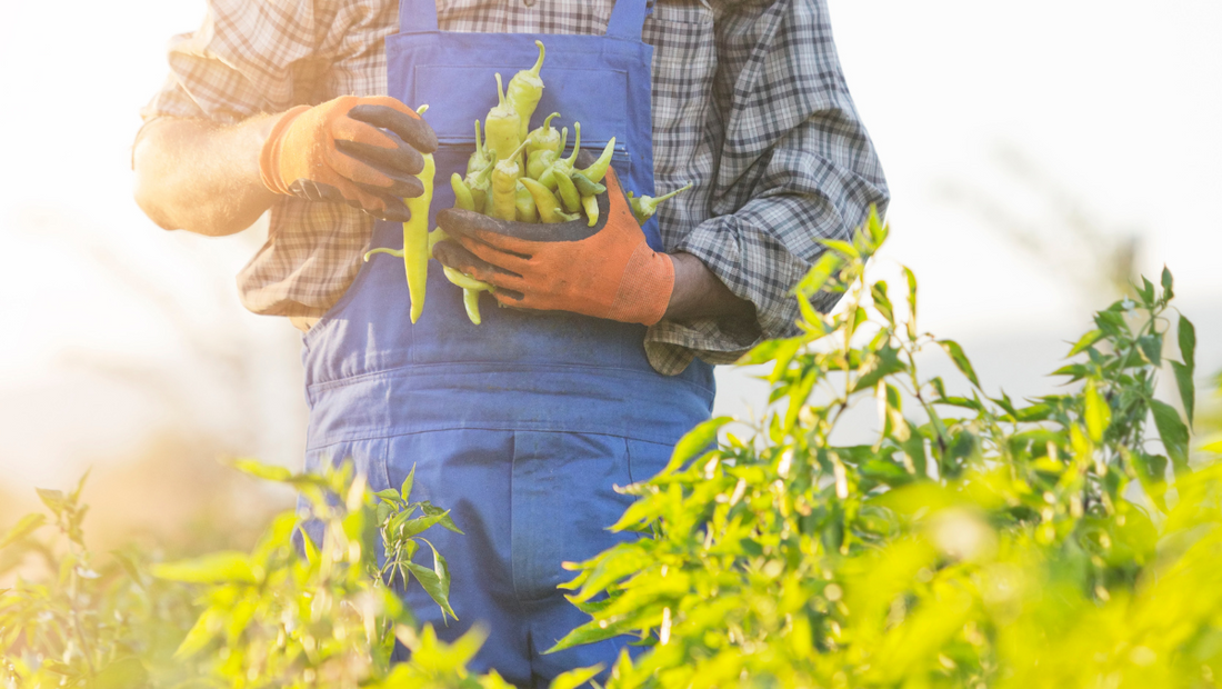 How Call Blockers Can Protect Small Farmers and Rural Households from Scam Calls